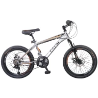 BICI. CALOI RIDER SPORT 20Plg PLATA