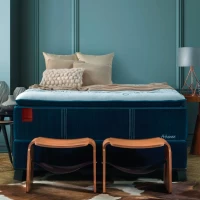 SOMIER DEDICACE DUAL ATHENEE 158X198X40