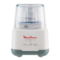 PICADORA MOULINEX 1-2-3 AD6011 PICA TODO