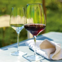 JGO 6 COPAS STOLZLE BORDEAUX EXPERIENCE 645ML